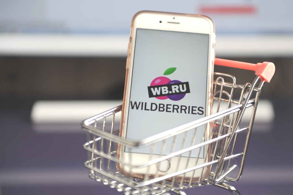 VISA отреагировала на неравные с системой МИР условия оплаты на Wildberries